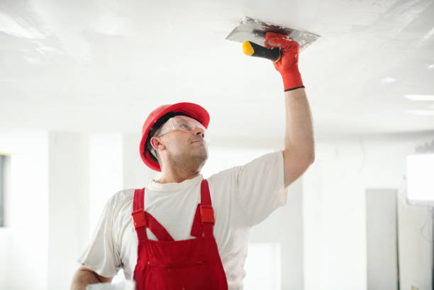 Best Drywall Sanding and Smoothing  in Huntertown, IN